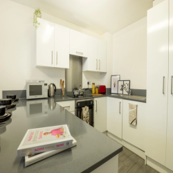 Londonist | Standard Accessible En-Suite